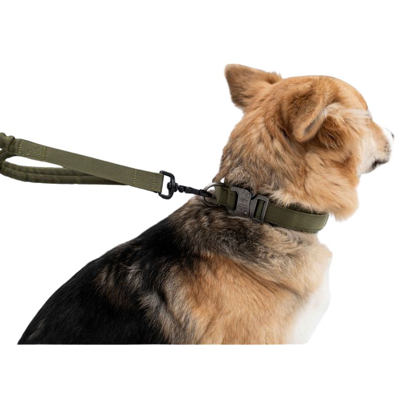 Hundeleine Tactic für große Hunde Outdoor