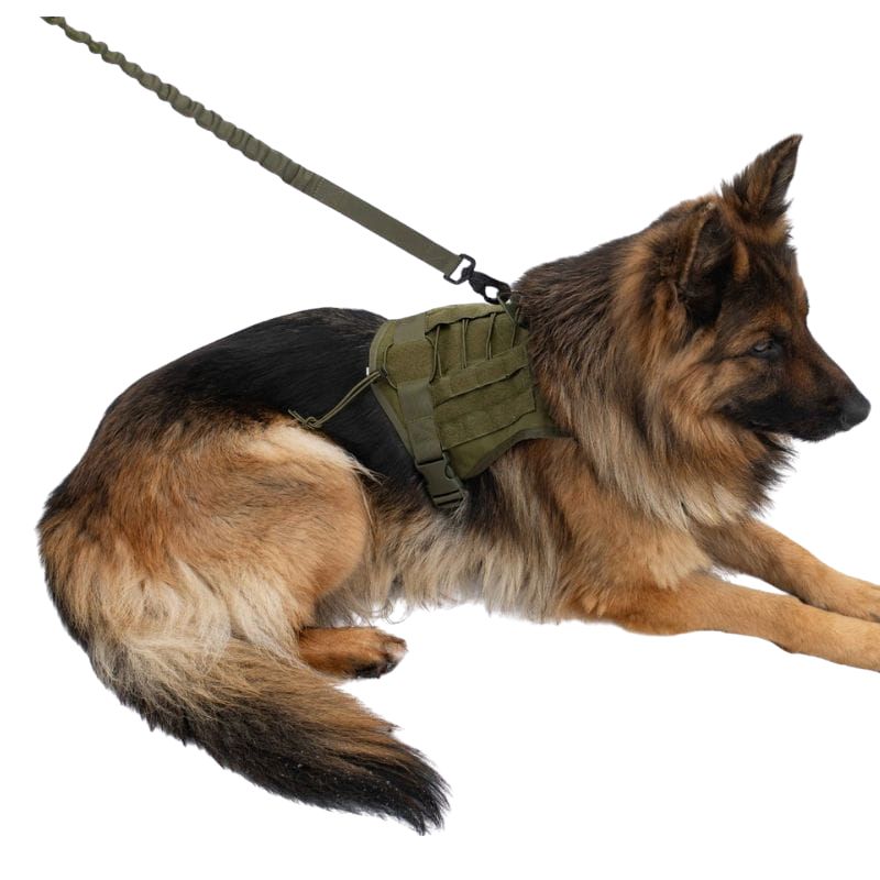 Hundeleine Tactic für große Hunde Outdoor